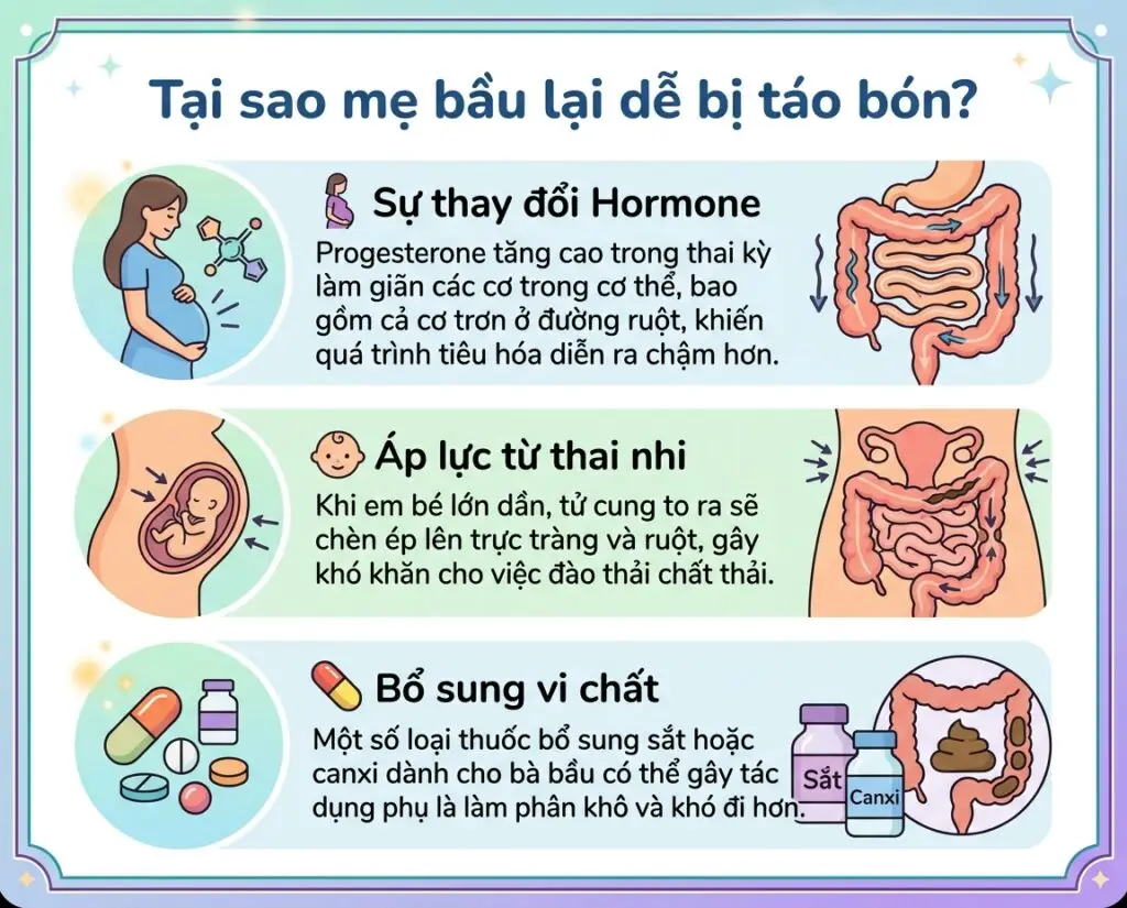 tại sao mẹ bầu dễ bị táo bón