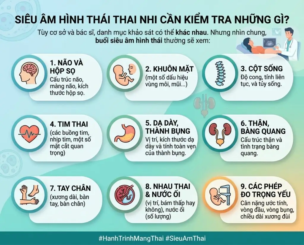 Siêu âm hình thái thai nhi: Mốc thời gian vàng và lưu ý quan trọng