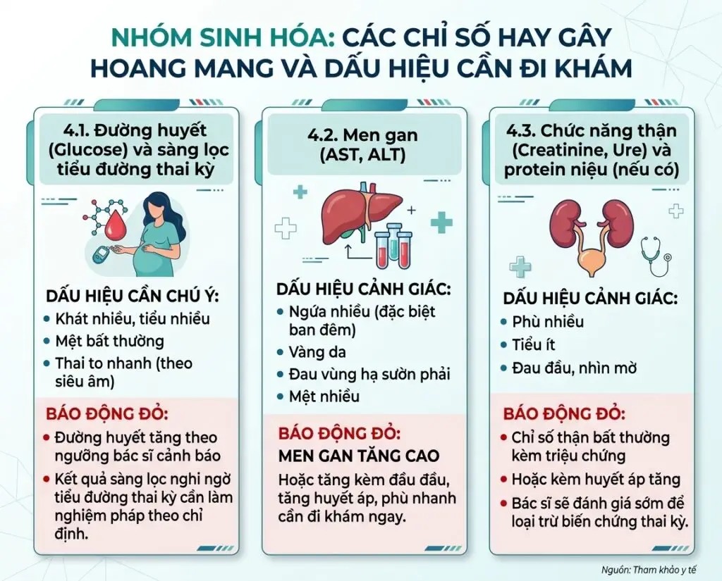 Mẹ bầu đọc chỉ số xét nghiệm máu: Chỉ số nào là “báo động đỏ”?