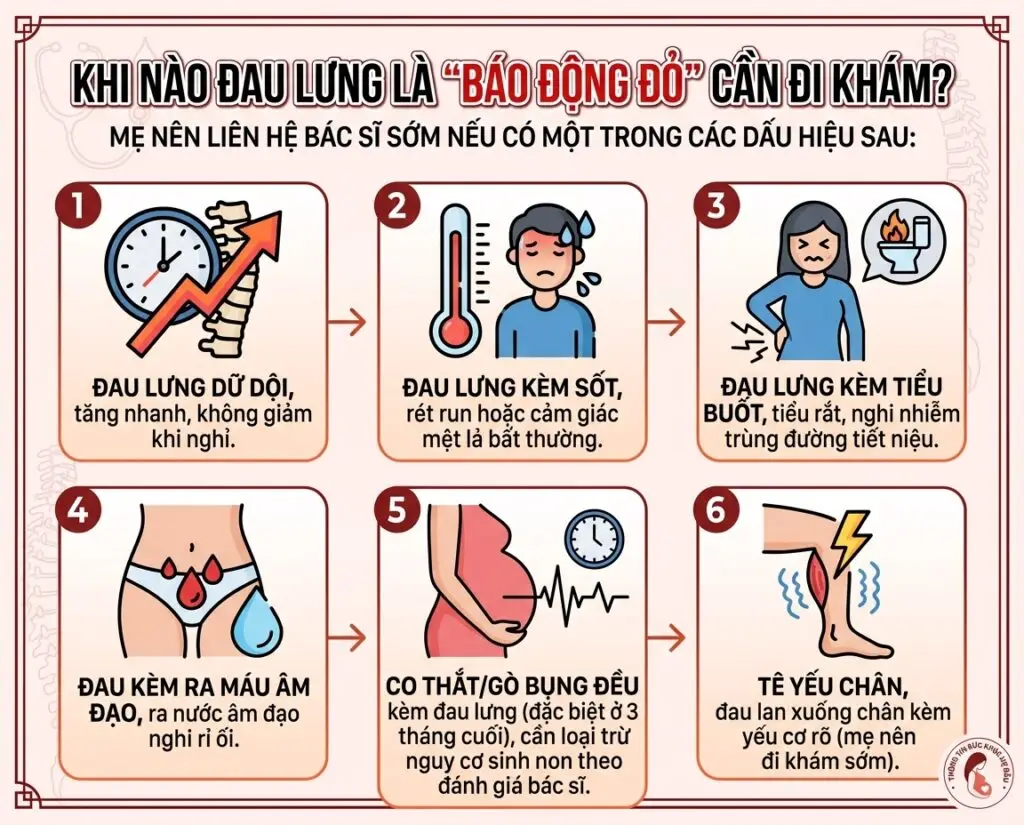 Đau lưng khi mang thai: Nguyên nhân và cách giảm an toàn theo từng tam cá nguyệt